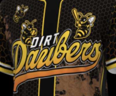 Dirt Daubers
