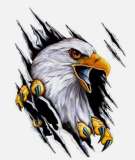 Screaming Eagles Profile Picture