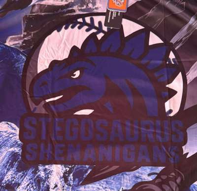 Stegosaurus Shenanigans