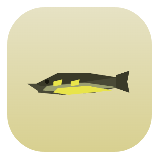 Indy South Electric Eels